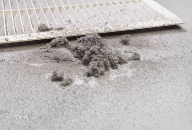 Best Local Air Duct Cleaning Services  in East Ithaca, NY