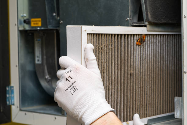Best Air Duct Cleaning Near Me  in East Ithaca, NY
