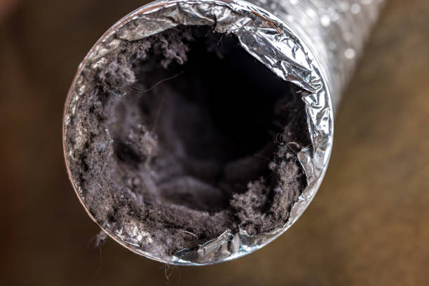 Best Ventilation Cleaning Services  in East Ithaca, NY