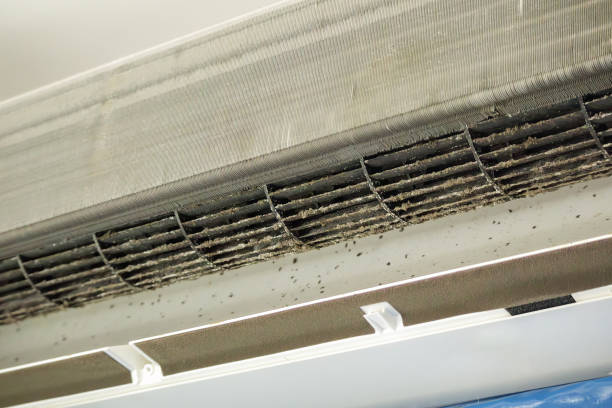 Best HVAC System Cleaning  in East Ithaca, NY
